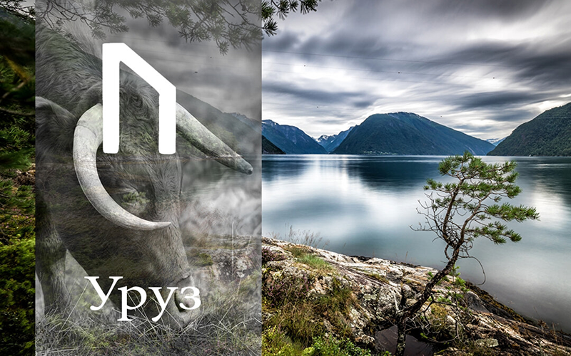 Роль руны Уруз в группе рун пива